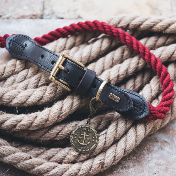 Hundehalsband List Halsband