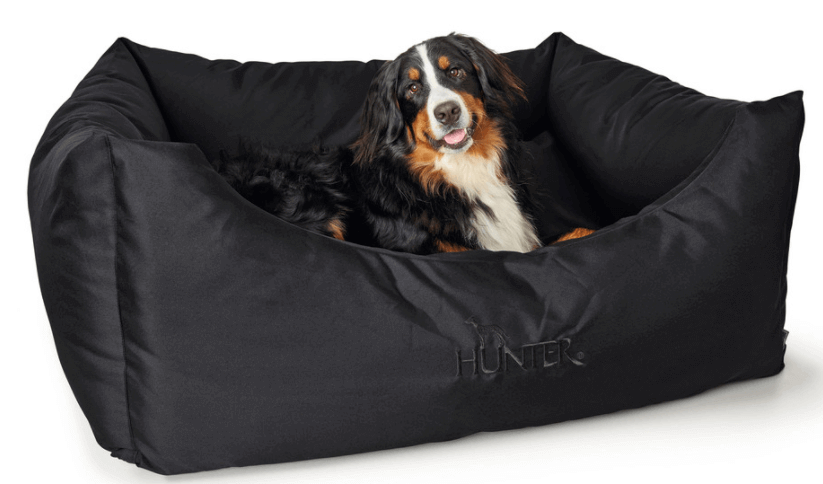 Hundesofa Gent Antibakteriell Hundebett
