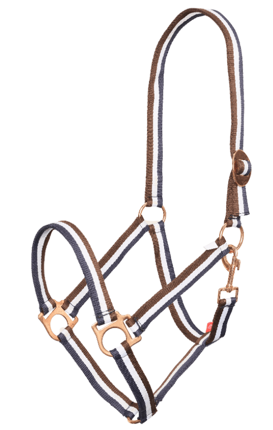 Halfter Nylon IRHEconomic Classic Stallhalfter