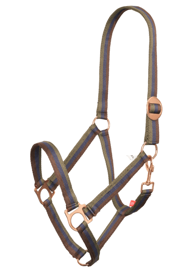 Halfter Nylon IRHEconomic Classic Stallhalfter