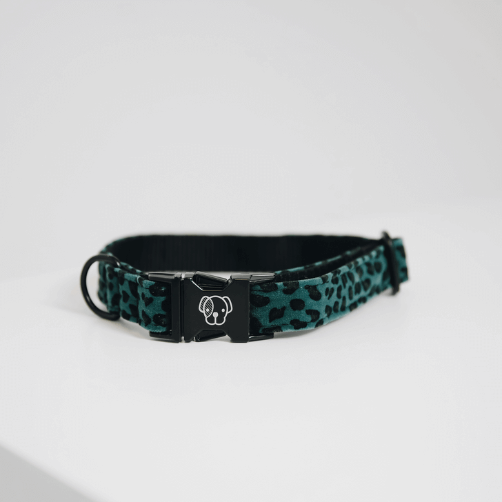 Halsband Leopard Hundehalsband