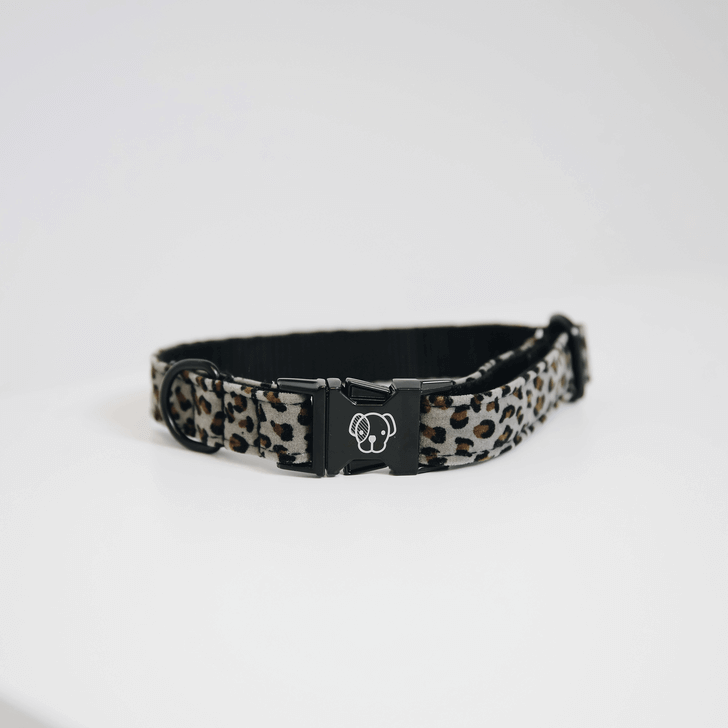 Halsband Leopard Hundehalsband