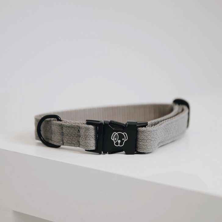 Halsband Lizard Hundehalsband