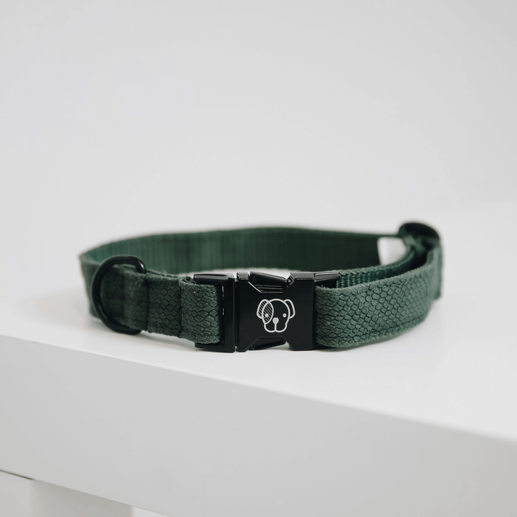 Halsband Lizard Hundehalsband