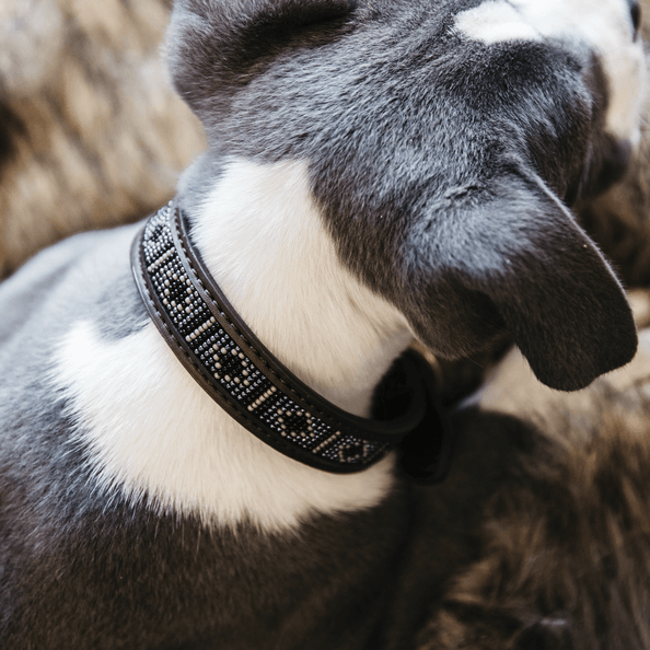 Halsband Pearls veganes Leder