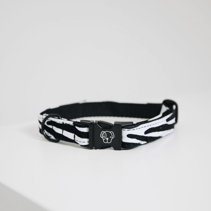 Halsband Zebra Hundehalsband