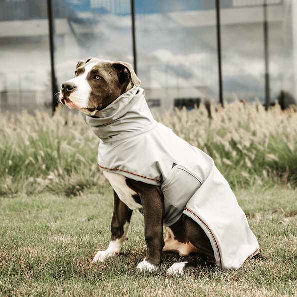 Hunde Regenmantel Hunderegenjacke