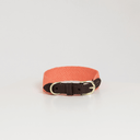 Neon Orange