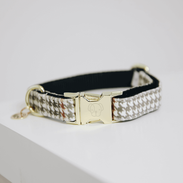Hundehalsband Pied-De-Poule