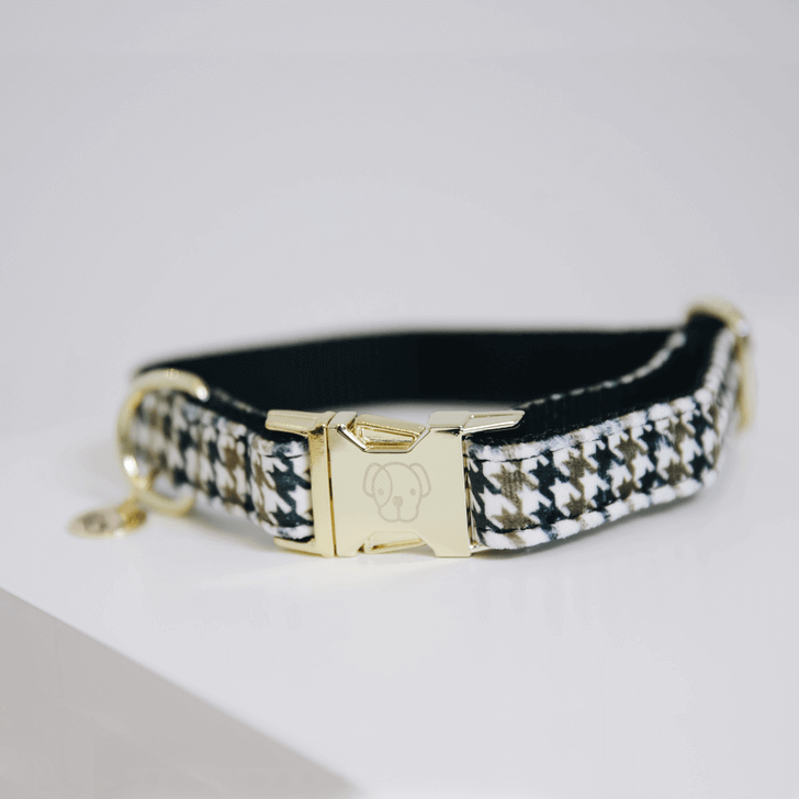 Hundehalsband Pied-De-Poule