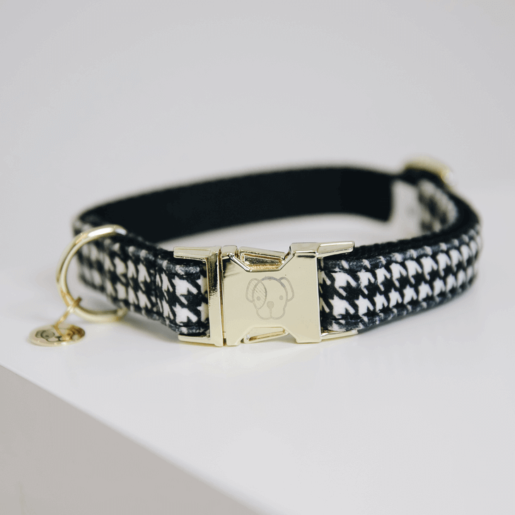 Hundehalsband Pied-De-Poule