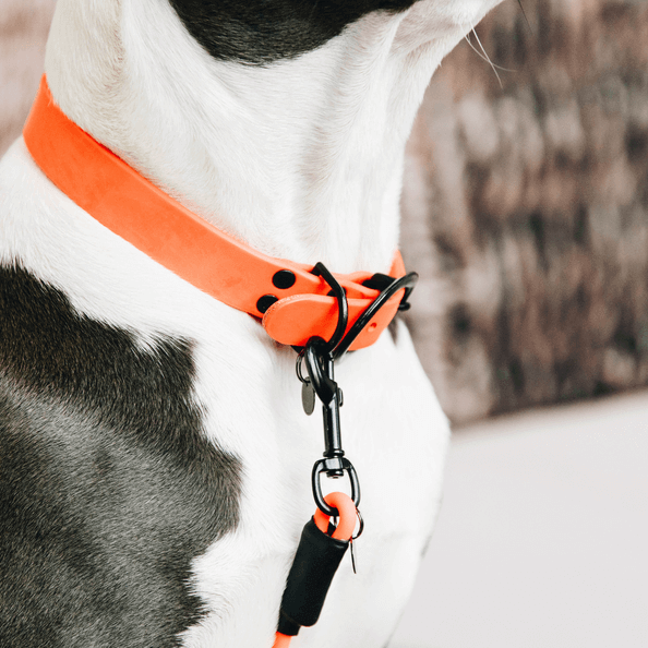 Hundehalsband Soft Rubber Gummi