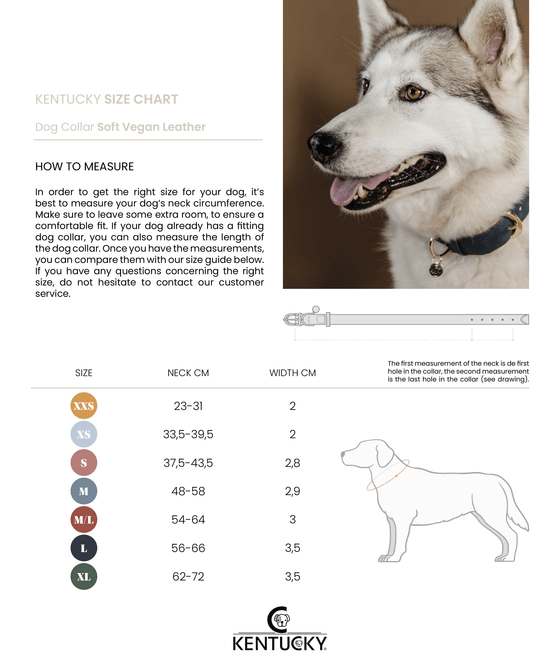 Hundehalsband Vegan Leder
