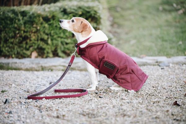 Hundeleine aus geflochtenem Nylon 120 cm Size L