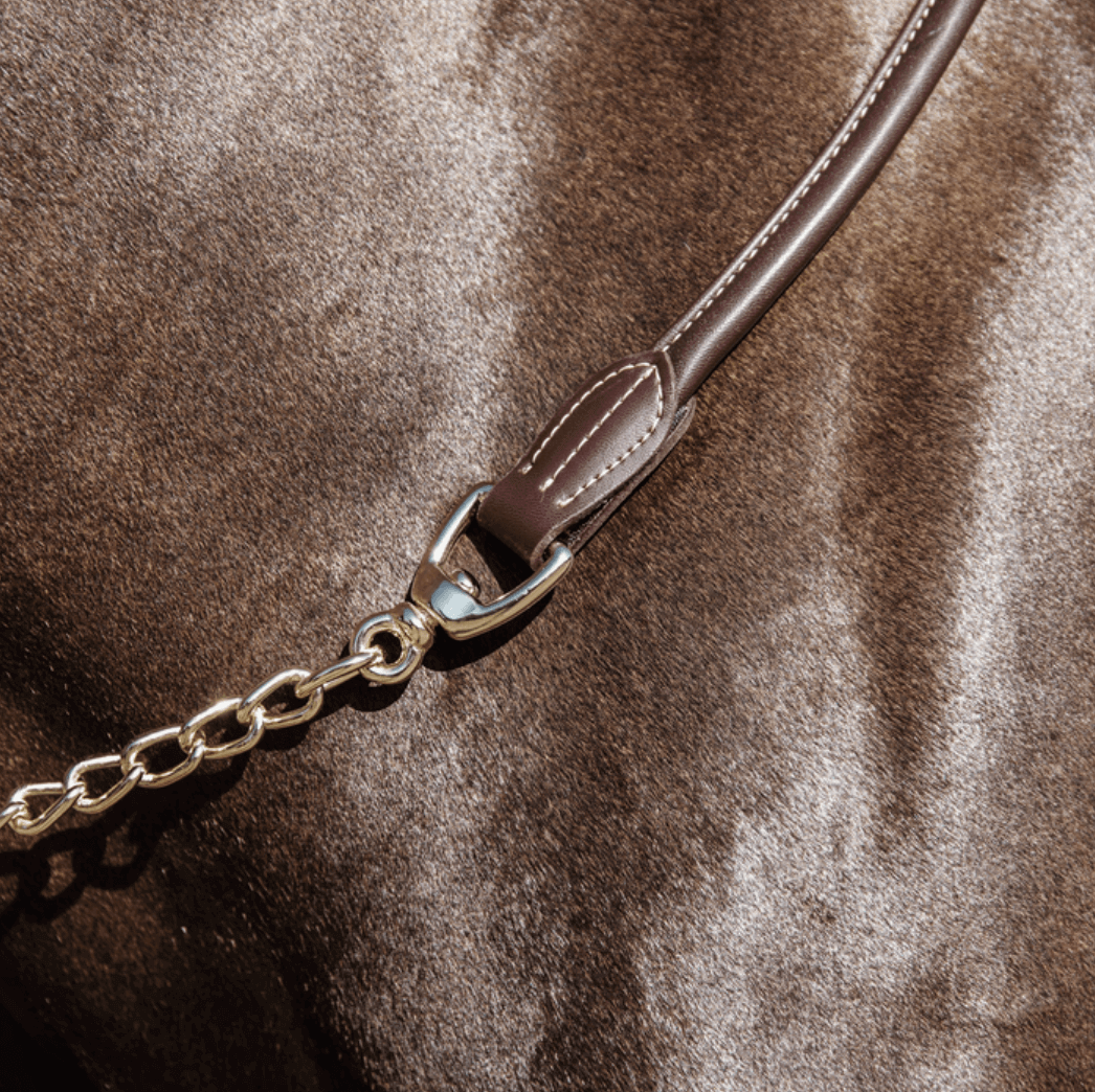 Führkette Leather Chain Lederleine