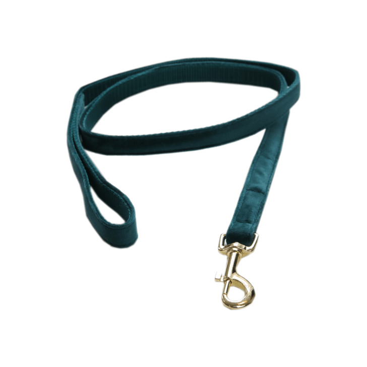 Kentucky Dogwear Hundeleine Velvet 120 cm Size L, Midsummer Blue, Produkt allein auf schwarzem Hintergrund.