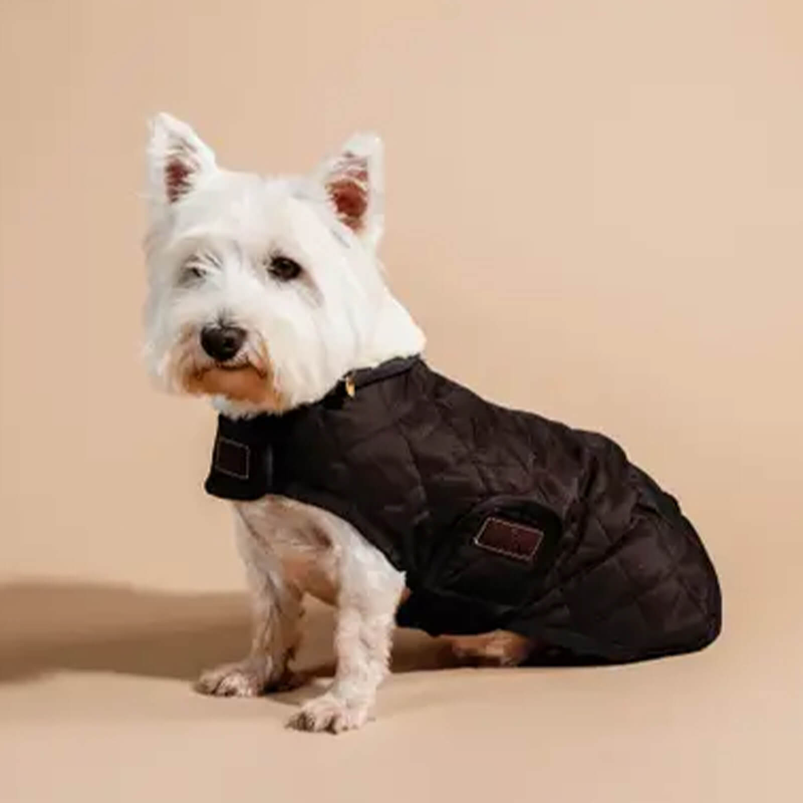 Hundemantel Original Hundejacke