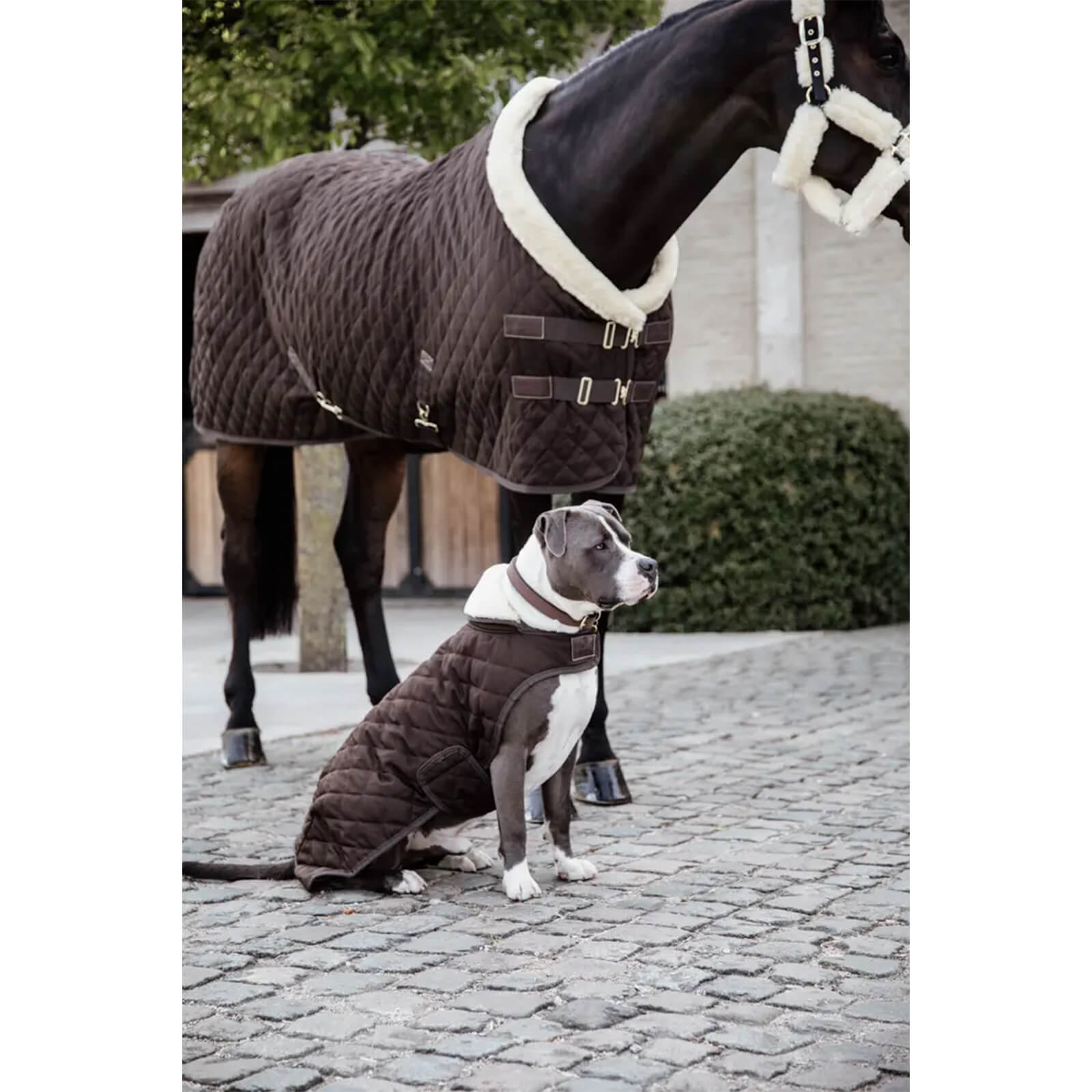 Hundemantel Original Hundejacke