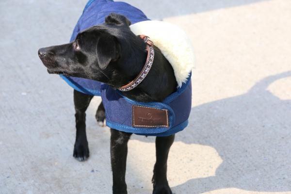 Hundemantel Original Hundejacke