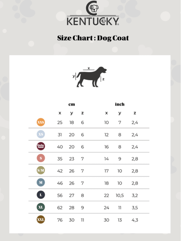 Hundemantel Waterproof Hundejacke