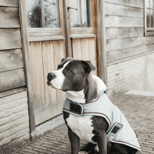 Hundemantel Waterproof Hundejacke