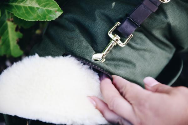 Hundemantel Waterproof Hundejacke