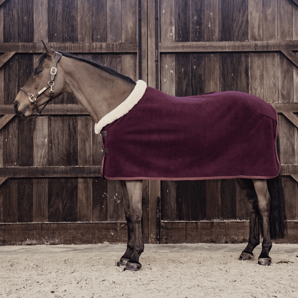 Abschwitzdecke Fleece Show Heavy Fellkragen