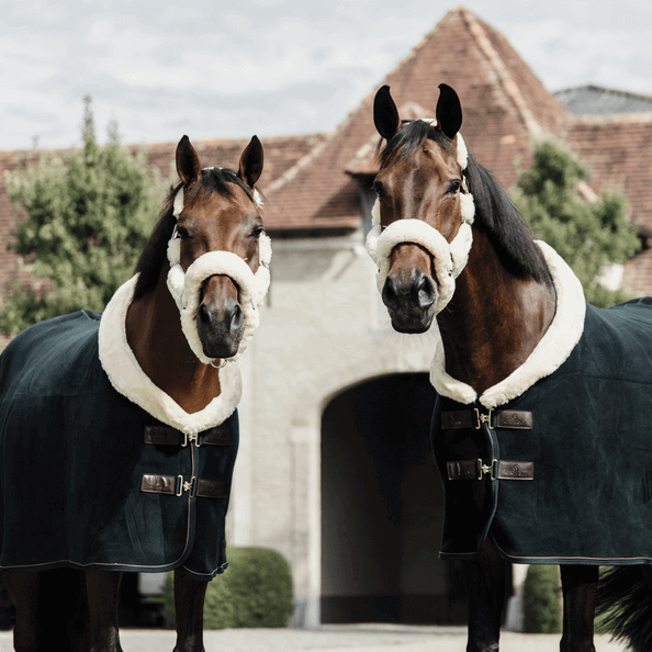 Abschwitzdecke Fleece Show Heavy Fellkragen