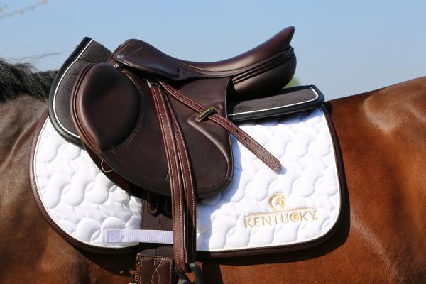 Anatomisches Sattel Pad Absorb Sattelpad Rückenpad
