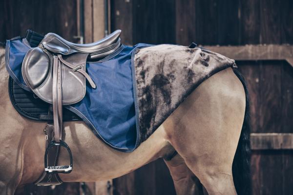 Ausreitdecke 160g All Weather wasserdicht