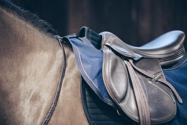 Ausreitdecke 160g All Weather wasserdicht
