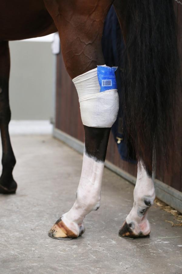Bandagenstrumpf Tendon Grip