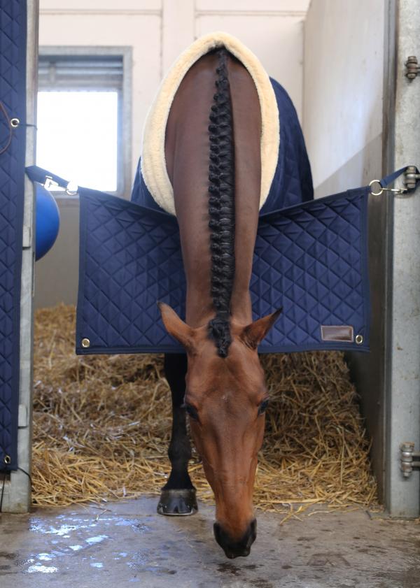 Boxentürvorhang Stable Guard