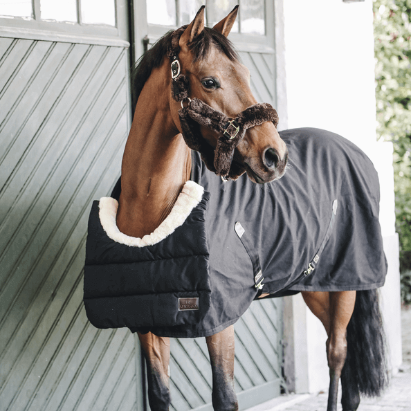 Brustschoner für Pferdedecken Horse BIB Winter