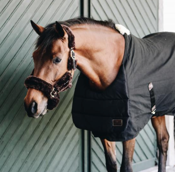 Brustschutz Horse BIB Sommer Deckeneinlage