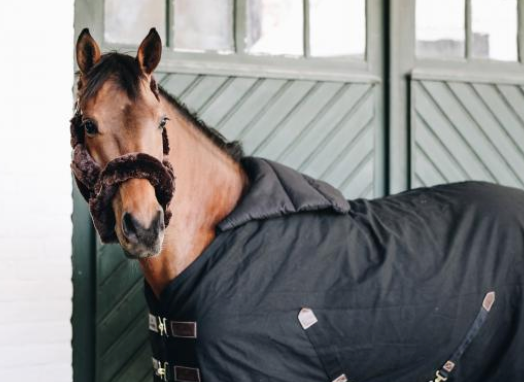 Brustschutz Horse BIB Sommer Deckeneinlage