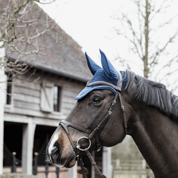 Fliegenmütze Wellington Basic Velvet Fliegenhaube
