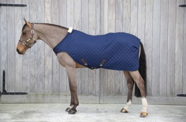 Kentucky Horsewear Führanlagendecke 160g Walker Rug, Midsummer Blue, Pferd trägt die Decke in der Führanlage.