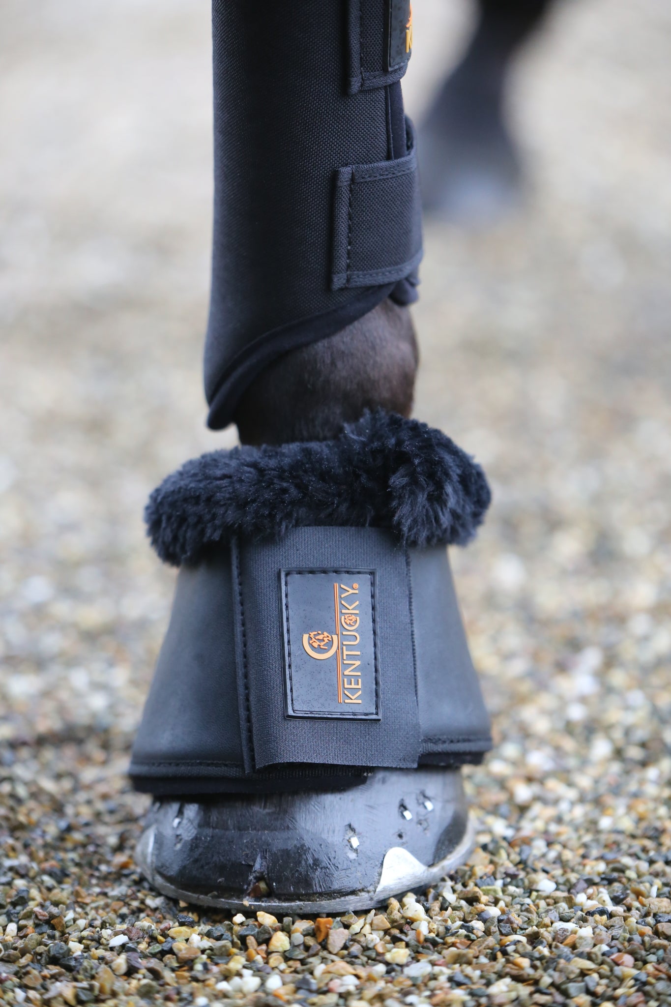 Hufglocken Leder Lammfell Sprungglocken