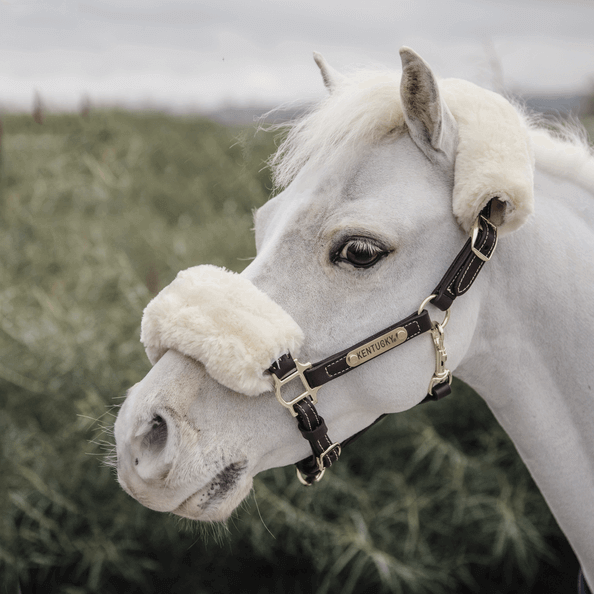 Kentucky Horsewear Lederhalfter Lammfell, braun, Pferd trägt das Halfter im Profil.