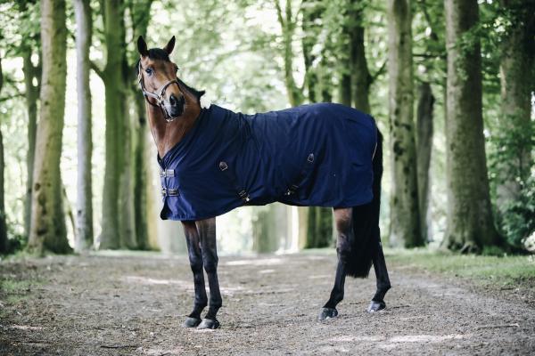 Abschwitzdecke Cotton Sheet Turnierdecke Transportdecke
