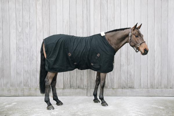 Abschwitzdecke Cotton Sheet Turnierdecke Transportdecke