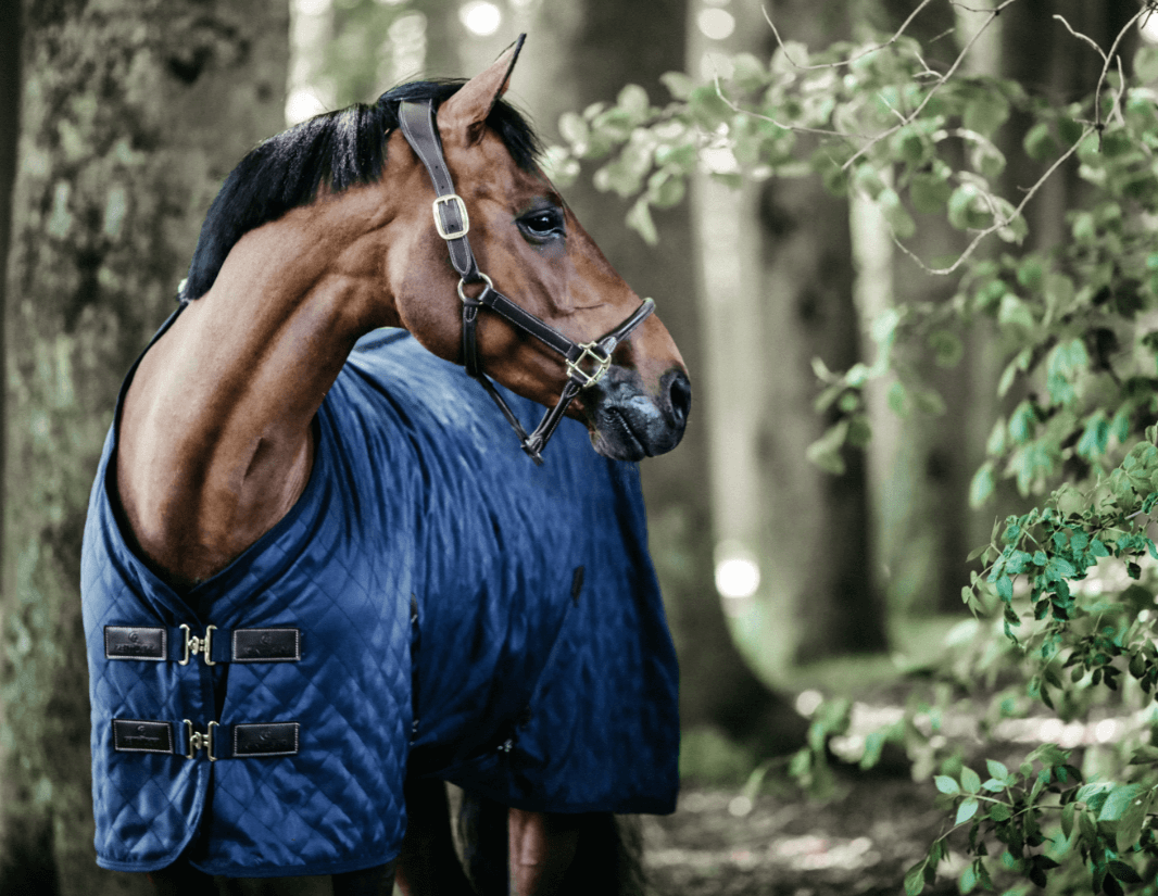 Stalldecke 0g Stable Rug Pferdedecke, Midsummer Blue, Pferd im Stall.