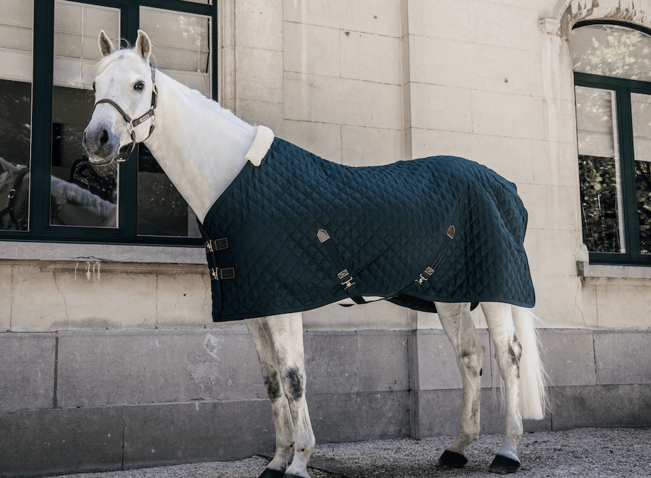 Stalldecke Stable Rug 400g HW 21