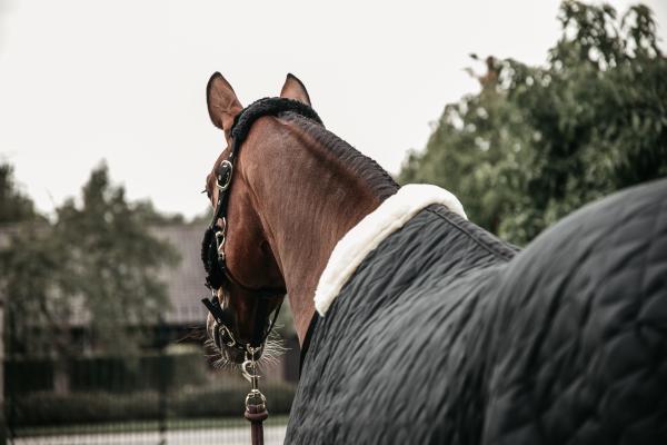 Stalldecke 400g Stable Rug Pferdedecke