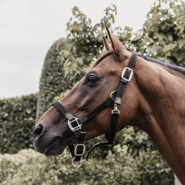 Stallhalfter Plaited Nylon Halfter Nylonhalfter