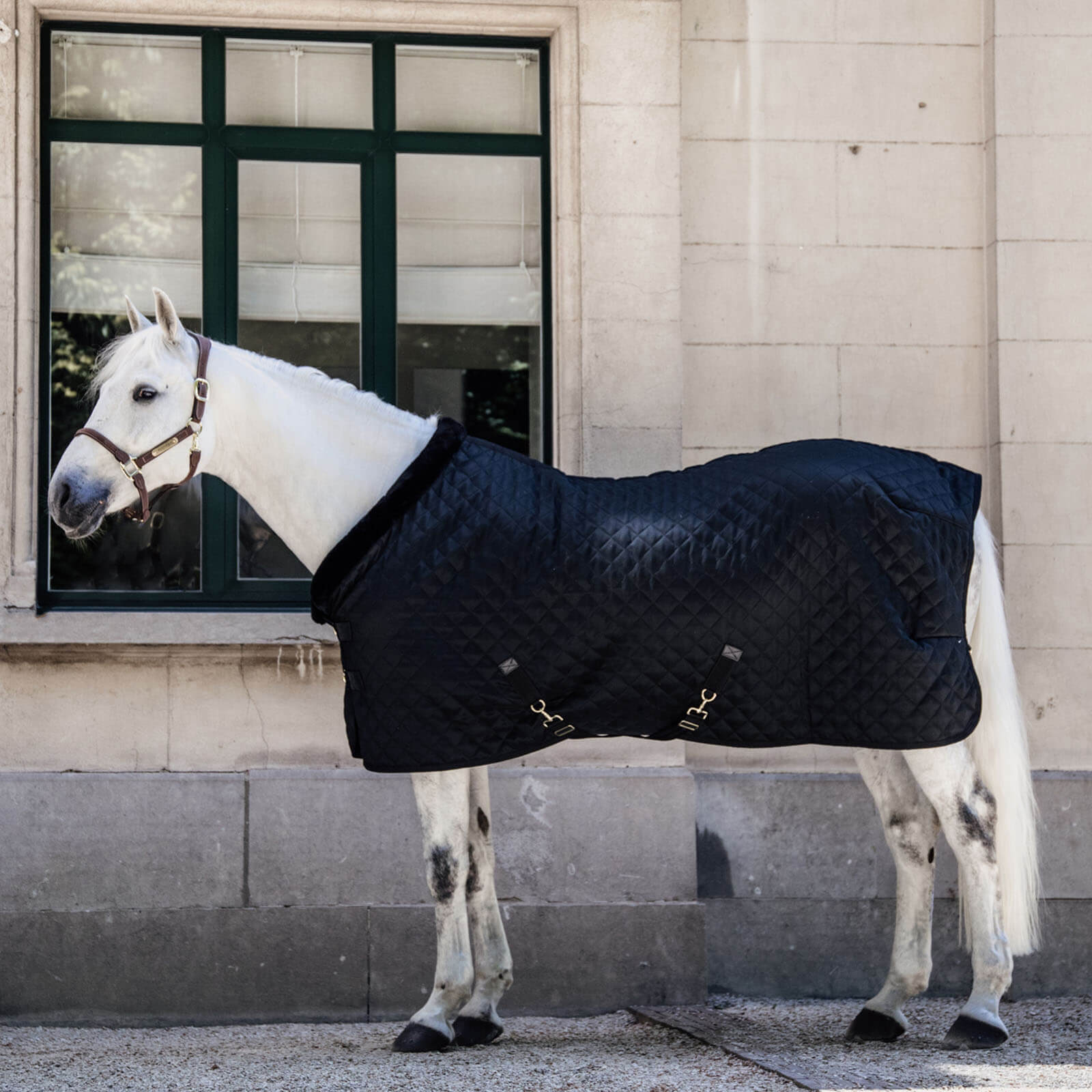 Turnierdecke 160g Show Rug