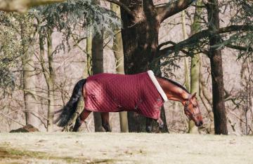 Turnierdecke 160g Show Rug