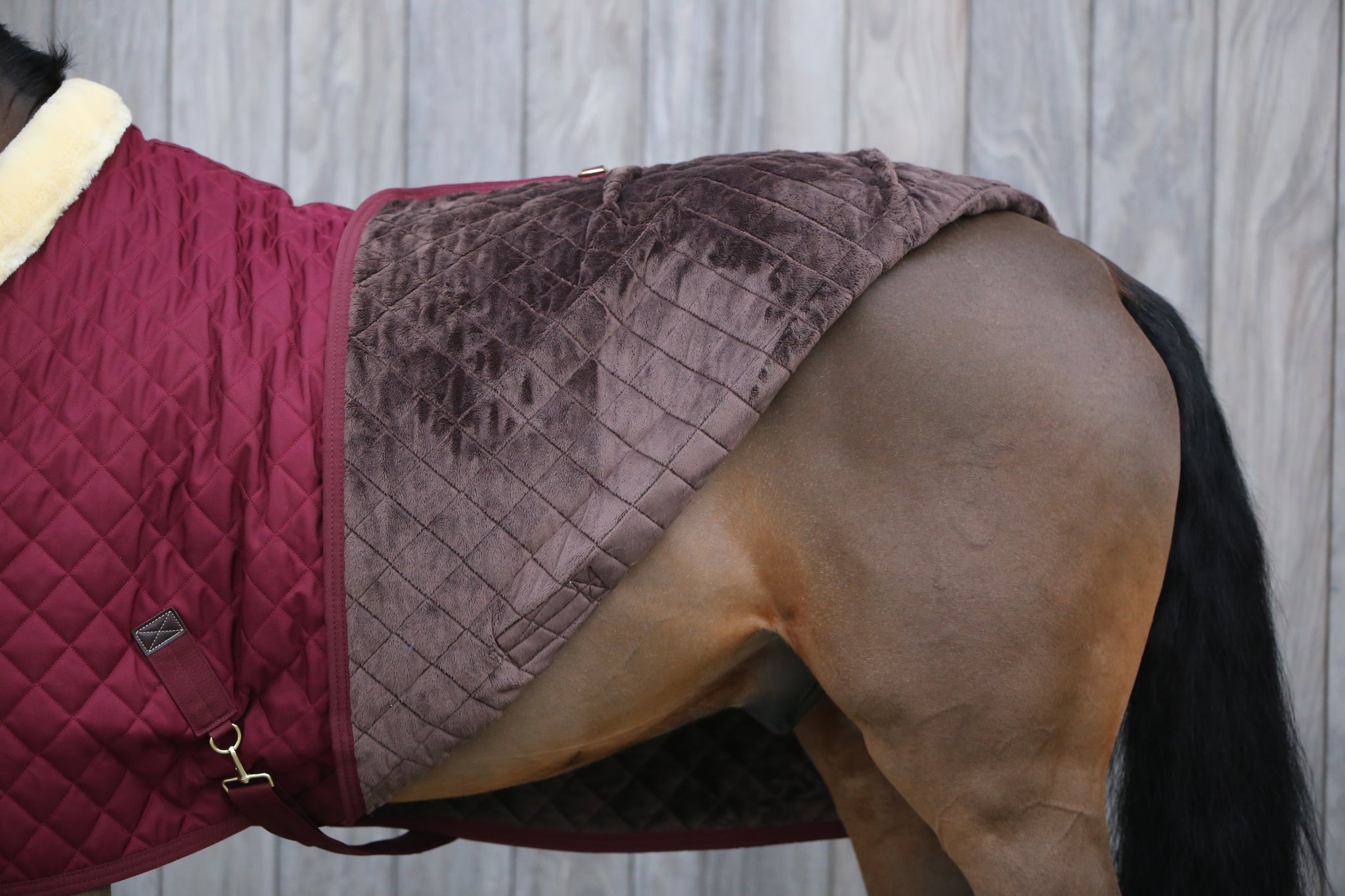 Turnierdecke 160g Show Rug