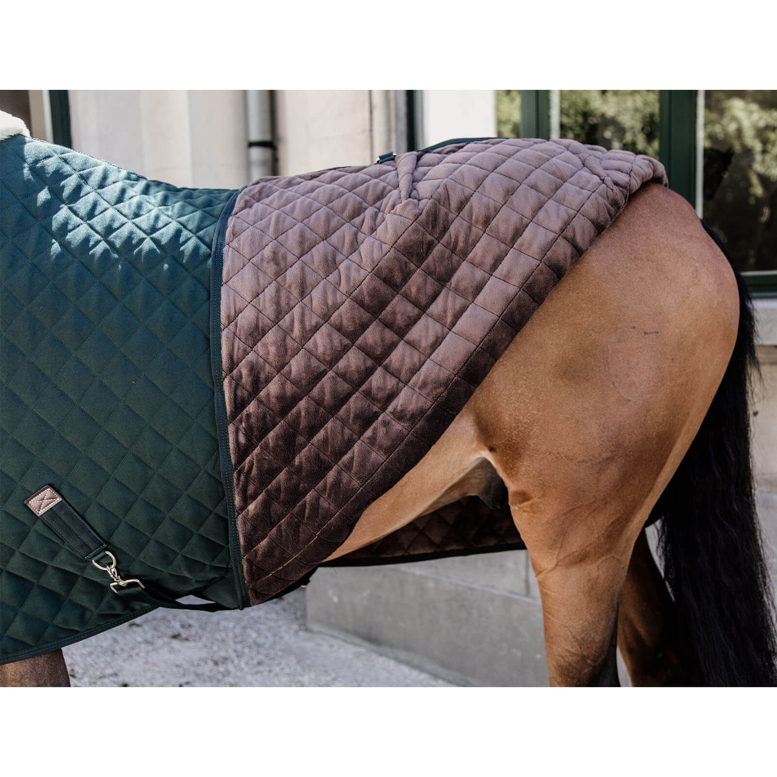 Turnierdecke 160g Show Rug
